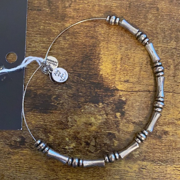 Alex and Ani Energy Bracelet - Picture 5 of 5